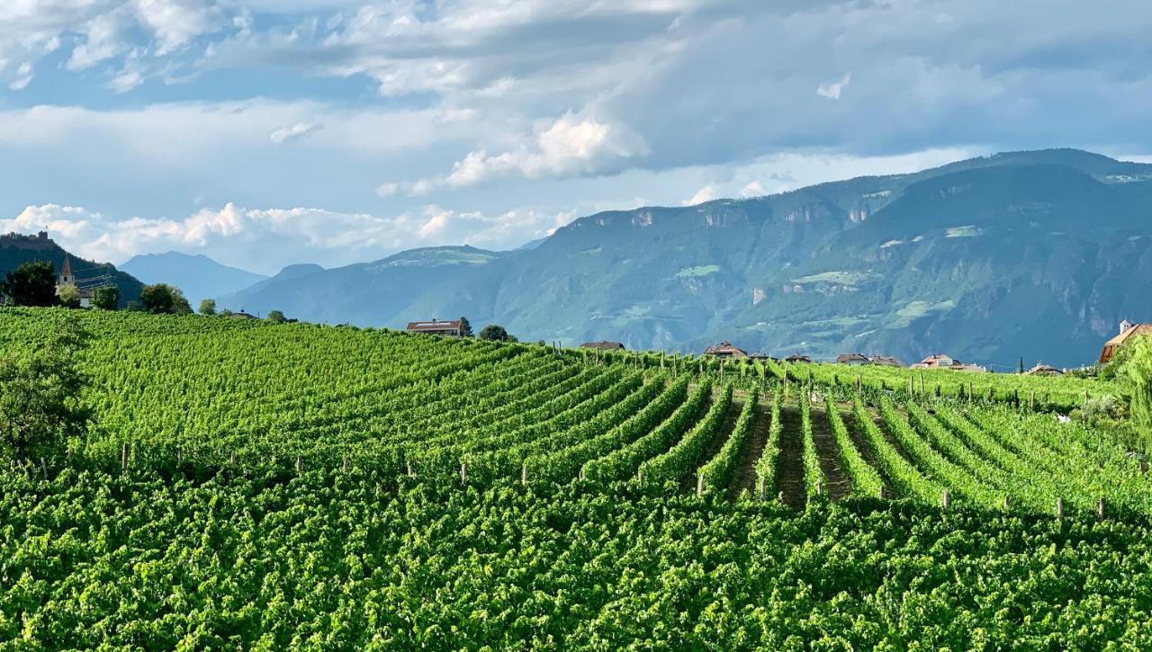 Weingut Gasshof Apartman Appiano Sulla Strada Del Vino Kültér fotó