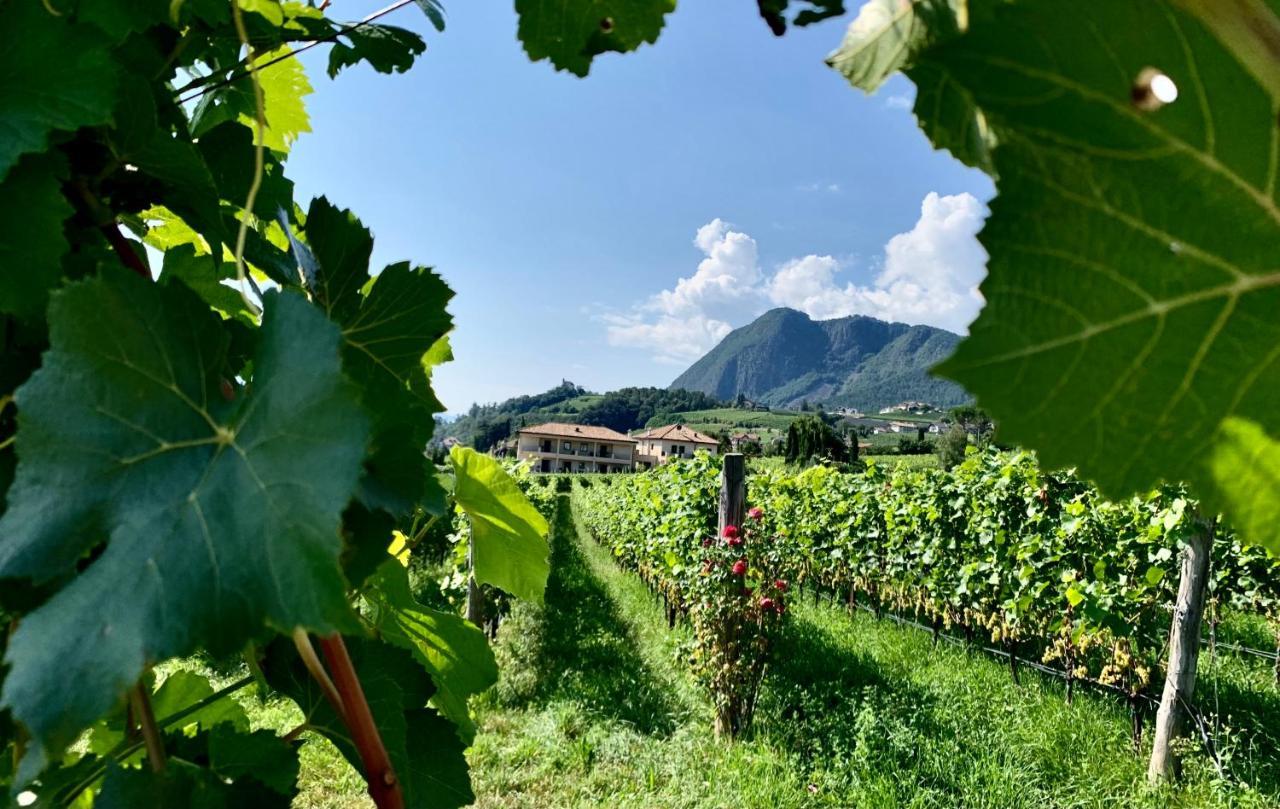 Weingut Gasshof Apartman Appiano Sulla Strada Del Vino Kültér fotó